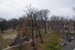 View of the Lindenwood Quad, Looking Northwest, from the Roof of Butler Library, 2010