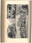 1890-1891 Lindenwood College Course Catalog by Lindenwood College