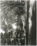 Students on Swing in the Quad, circa 1950s by Lindenwood College