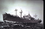 World War II SS Lindenwood, circa 1945 by Unknown