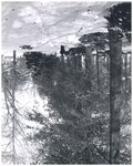 Student Walking Butler Way in Winter, circa 1950s by Lindenwood College