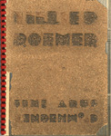 Lillie P. Roemer Memorial Arts Building Photo Album by Piaget