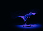 Image from "Invisible Things", Fall Dance Concert, Lindenwood University