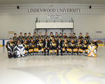 2007-2008 Lindenwood University Men's D1 Ice Hockey Team by Lindenwood University
