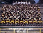 1992-1993 Lindenwood College Football Team Photo by Lindenwood College